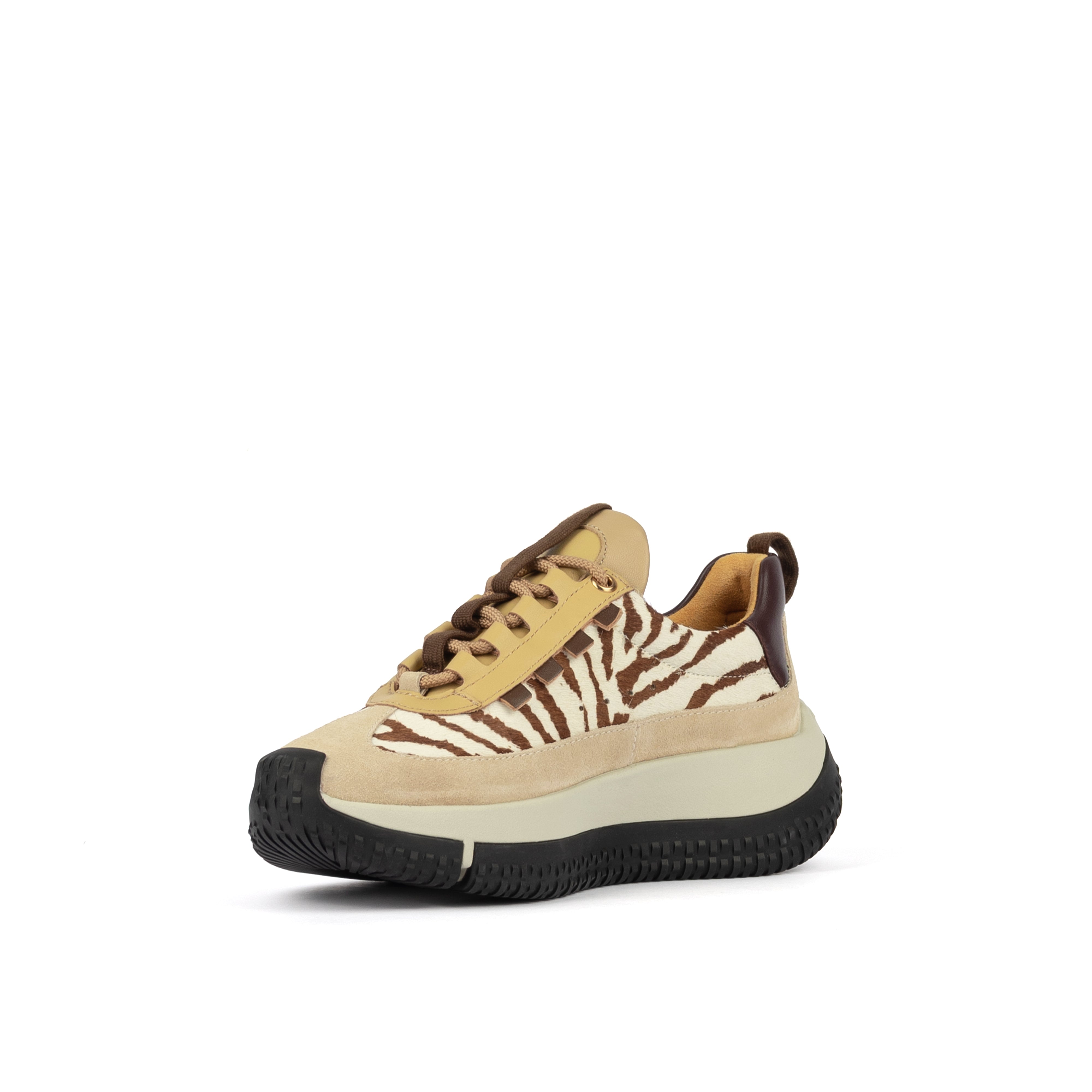 KAPOK PINTO ZEBRA
